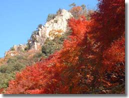 紅葉した豪渓の写真