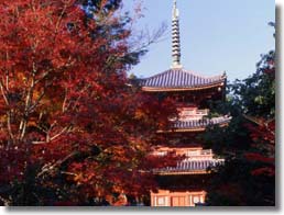宝福寺の写真