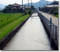 田原用水の写真