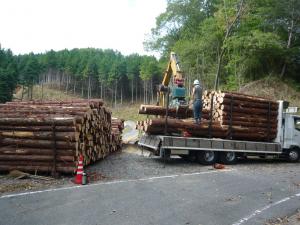 林道を使用して木材の積込み・運搬している写真です