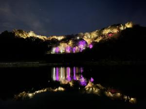 嵐山公園　ライトアップ