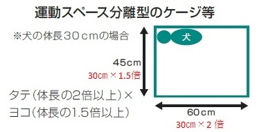 分離型