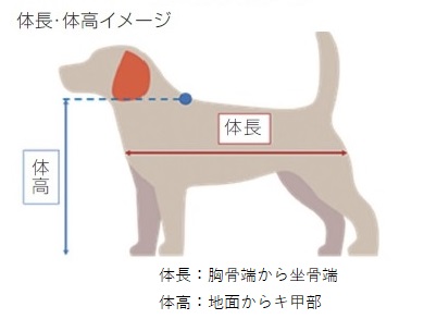犬のサイズ