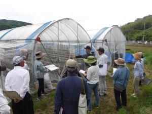 参加者に立茎の注意点を説明する普及員と先輩農家