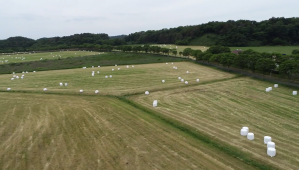 上空からの草地圃場風景