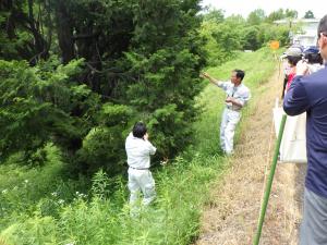 ヒノキ採種園の説明を行う様子