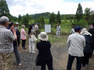 スギ採種園の説明を行う様子