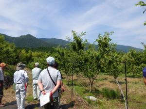 令和6年度　岡山甘栗現地巡回指導の様子