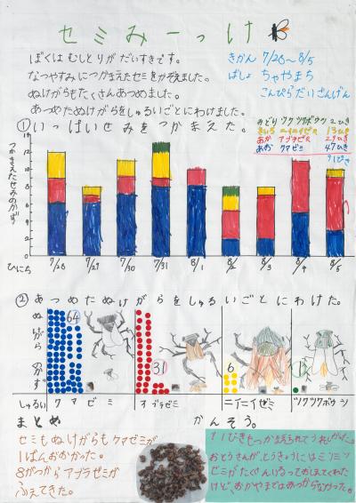 セミみーっけ