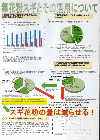 無花粉スギとその活用について