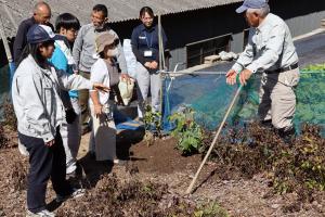 【関係機関が集い、バイオ苗を定植】