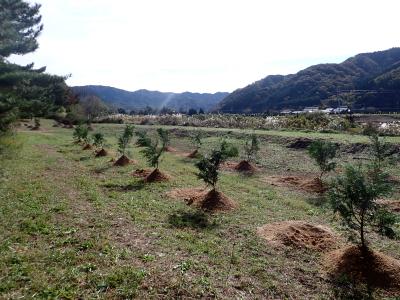 リレー参加者植樹後