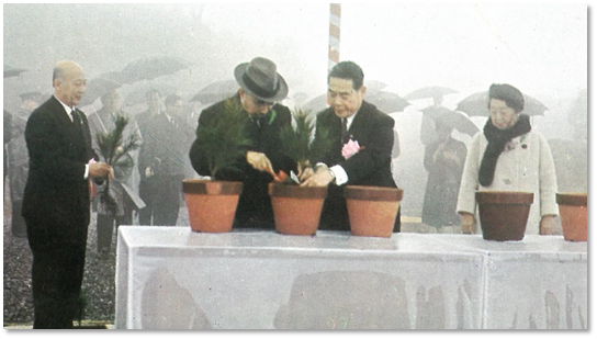 前回大会の天皇陛下お手植え