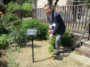 県内全市町村参画の記念植樹