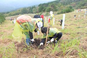 県民参加の地域植樹