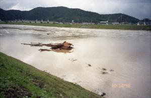 水没した発掘調査現場