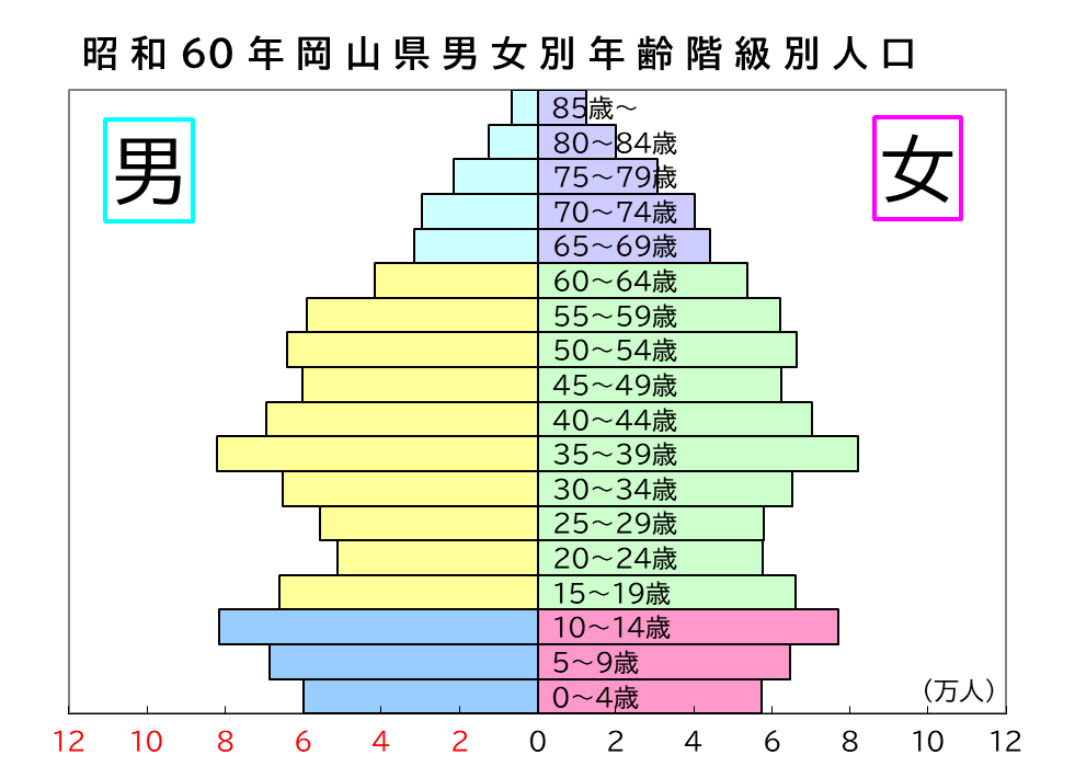「昭和６０年の岡山県男女別年齢階級別人口ピラミッド」のグラフ