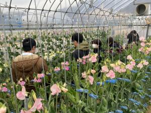 圃場での説明