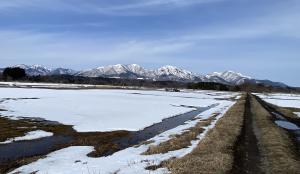 蒜山農地