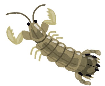 「シャコ」のアイコン