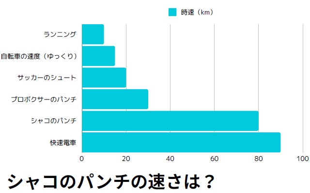 「色んなものの速度」のグラフ