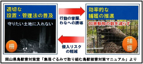 防護対策と捕獲対策の関係