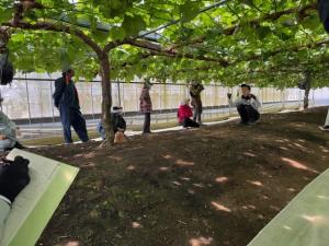 視察の様子を撮影した写真です