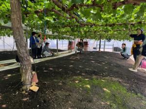 視察の様子を撮影した写真です
