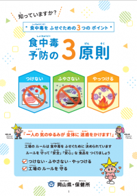 やさしい日本語版
