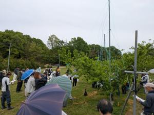 視察の様子を撮影した写真です