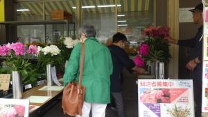 【芍薬フェアでの人気品種投票】