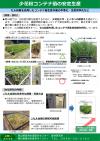 セル育苗