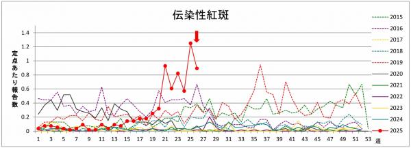 リンゴ病グラフ