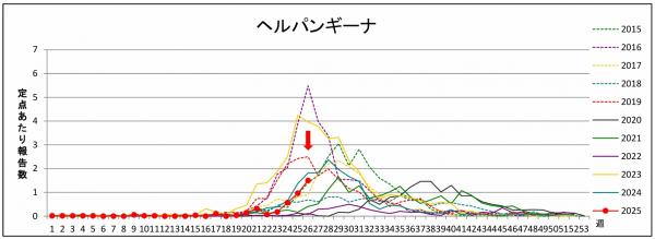 ヘルパンギーナのグラフ