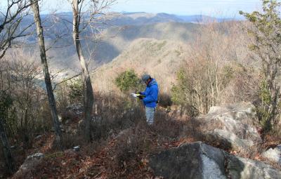 現地踏査の様子