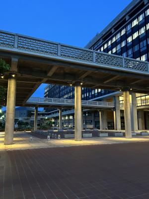 県庁舎ピロティライトアップ