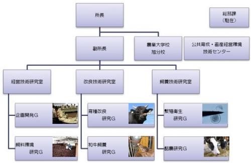 組織図
