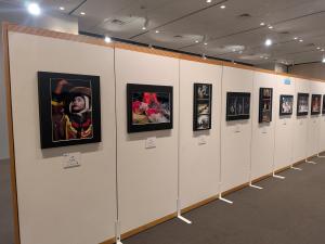 写真部門の展示です