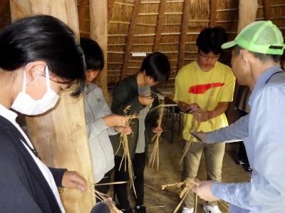 収穫体験の様子