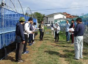 ぶどう産地での見学