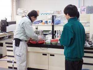 岡山甘栗の試食