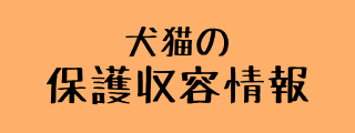 保護収容情報