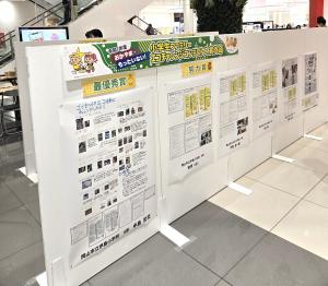 作品展示