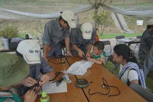 ロープのトンボ作り