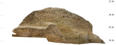 南山城跡土塁断面オルソ画像