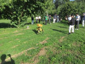 モモ園での実演