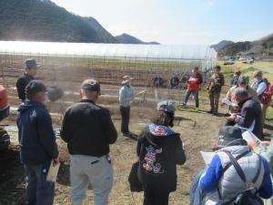 補植のポイントを説明する普及員