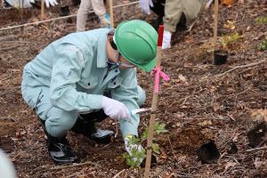 県民参加による山火事跡地への植樹