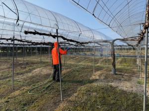 発芽前防除の様子を撮影した写真です