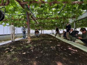 視察の様子を撮影した写真です